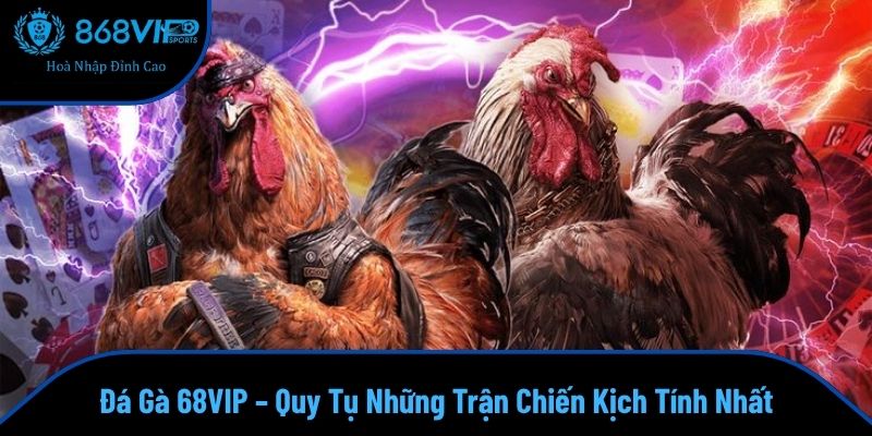 Đá Gà 68VIP – Quy Tụ Những Trận Chiến Kịch Tính Nhất