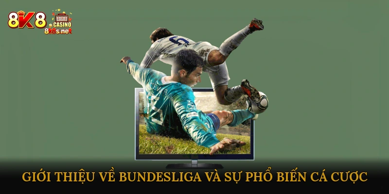 Giới Thiệu Về Bundesliga và Sự Phổ Biến Cá Cược