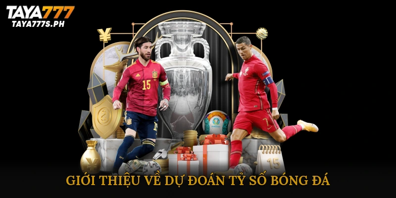 Giới thiệu về dự đoán tỷ số bóng đá