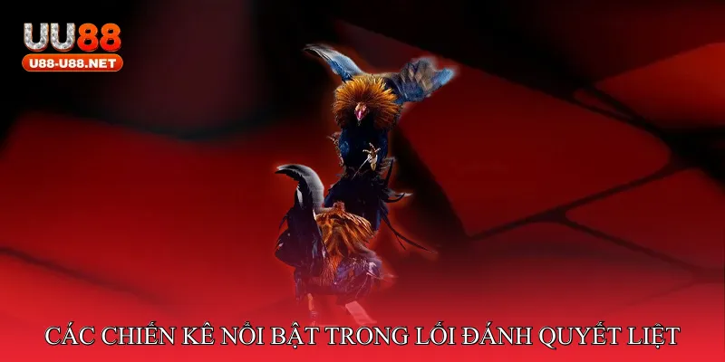 Các Chiến Kê Nổi Bật Trong Lối Đánh Quyết Liệt