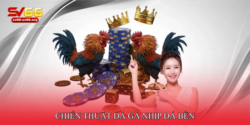 Chiến thuật đá gà nhịp đá bền