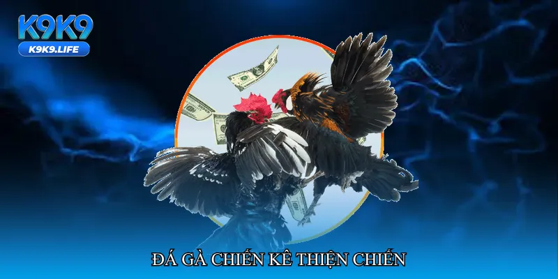 Đá gà chiến kê thiện chiến
