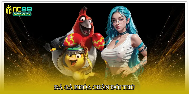 Đá gà khóa chân đối thủ