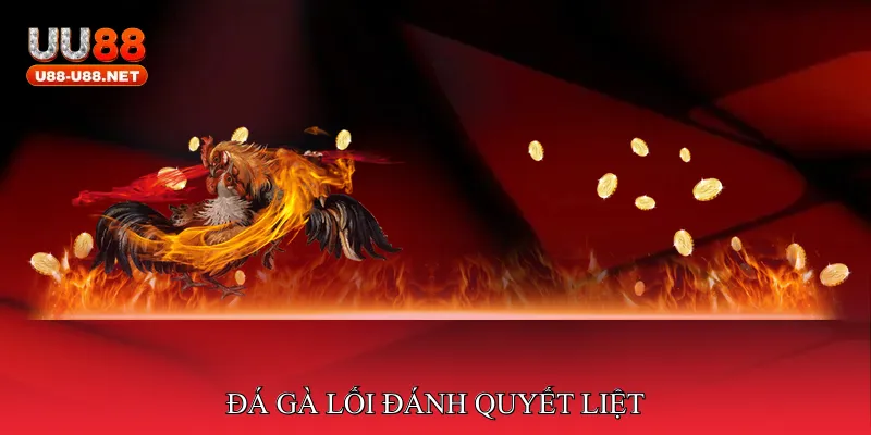 Đá gà lối đánh quyết liệt