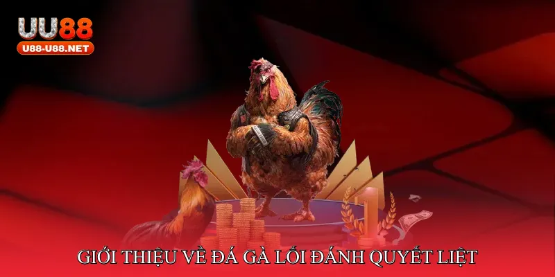 Giới Thiệu Về Đá Gà Lối Đánh Quyết Liệt