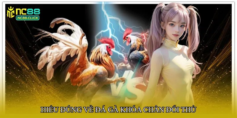 Hiểu đúng về đá gà khóa chân đối thủ