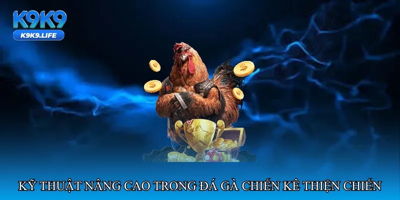 Kỹ thuật nâng cao trong đá gà chiến kê thiện chiến