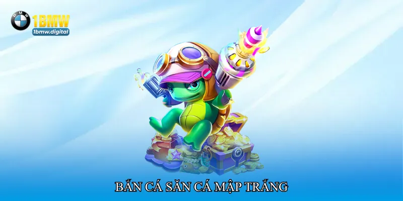 Bắn cá săn cá mập trắng