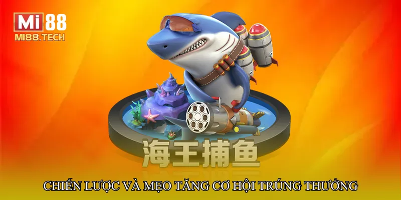 Chiến lược và mẹo tăng cơ hội trúng thưởng