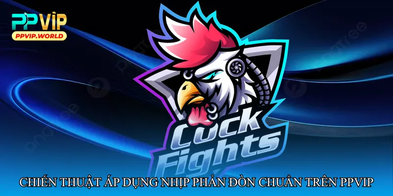 Chiến thuật áp dụng nhịp phản đòn chuẩn trên Ppvip