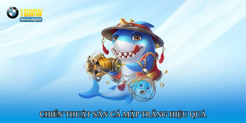 Chiến thuật săn cá mập trắng hiệu quả