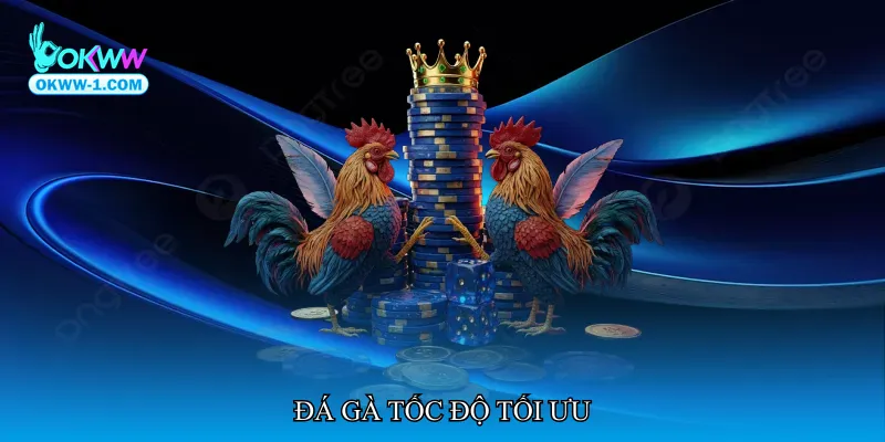 Đá gà tốc độ tối ưu