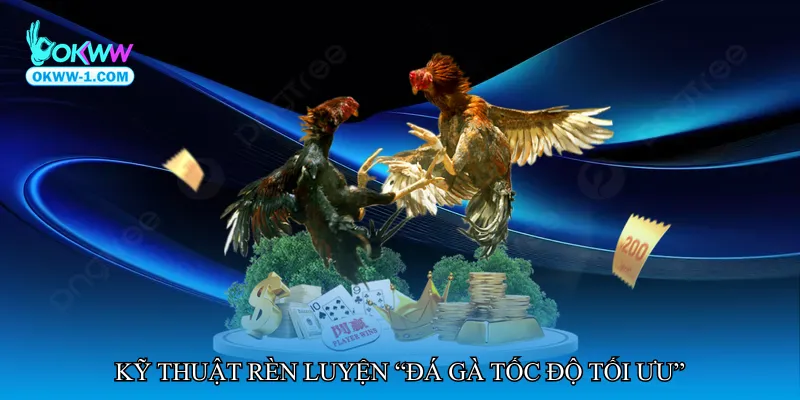 Kỹ thuật rèn luyện “Đá gà tốc độ tối ưu”