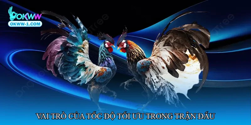 Vai trò của tốc độ tối ưu trong trận đấu